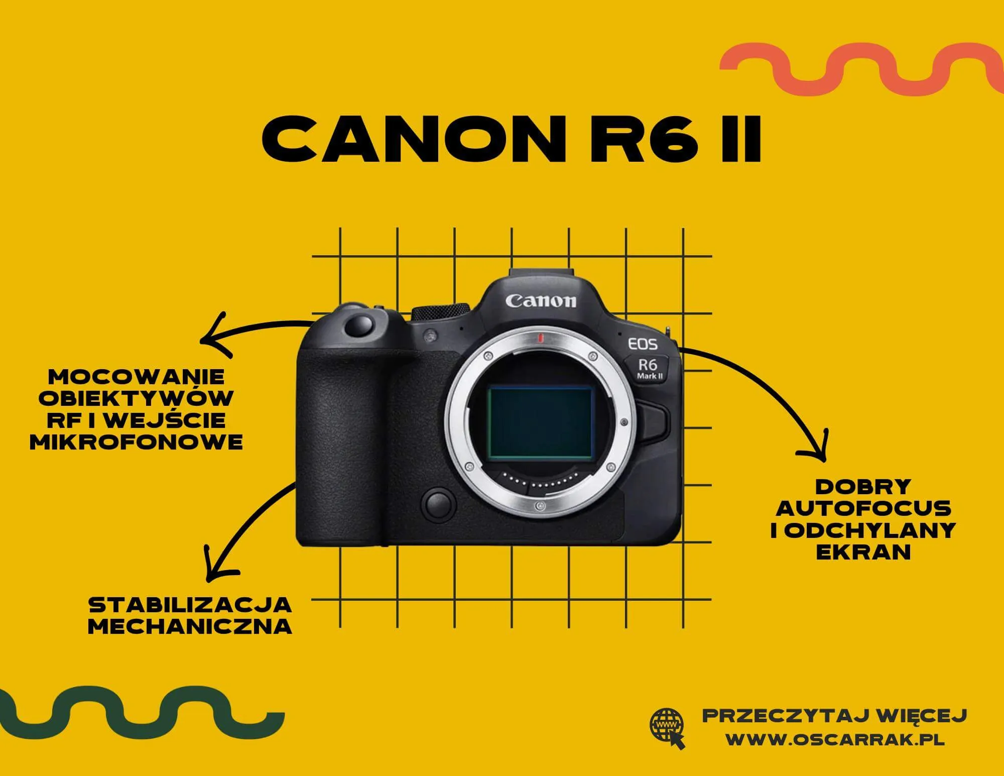 Canon R6 II z mocowaniem RF i stabilizacją mechaniczną; oferta na Ceneo