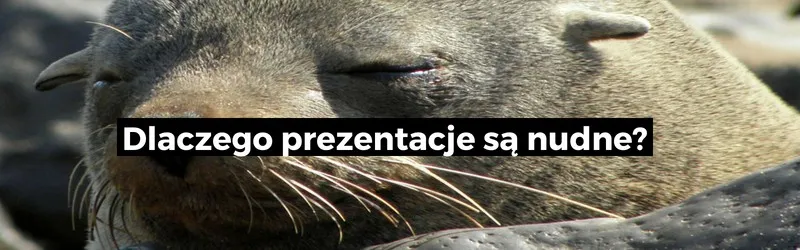Dlaczego prezentacje są nudne?
