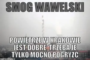 Mem ze zdjęciem zamglonego Krakowa, podpis Smog wawelski, powietrze trzeba mocno pogryźć